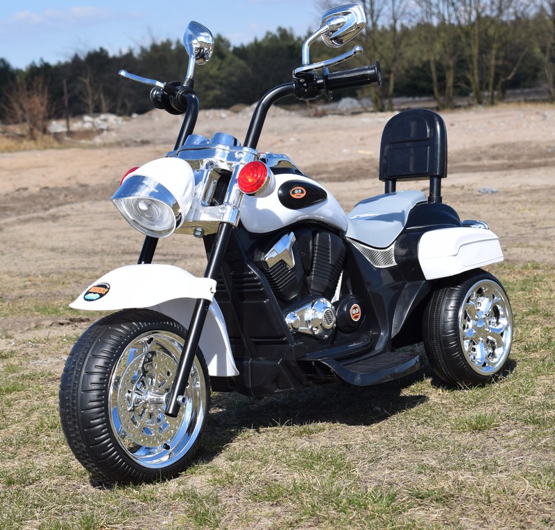 MOTOR CHOPPER Z OPARCIEM, WARKIEM SILNIKA/SH618 - obrazek 3