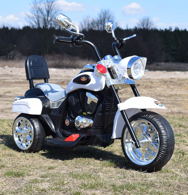 MOTOR CHOPPER Z OPARCIEM, WARKIEM SILNIKA/SH618 - obrazek 6