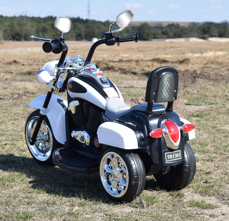 MOTOR CHOPPER Z OPARCIEM, WARKIEM SILNIKA/SH618 - obrazek 8