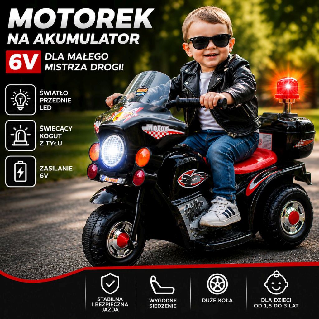 PIERWSZY MOTOR CHOPPER NA AKUMULATOR - KOGUT, DŹWIĘKI/LL999-1 - obrazek 8
