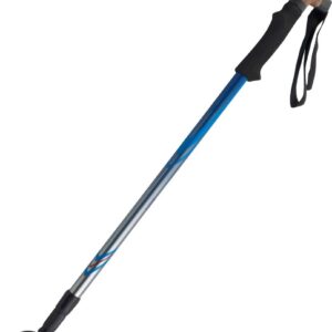 KIJ TREKKINGOWY DO CHODZENIA NORDIC WALKING 3-SEKCYJNY SREBRNO-NIEBIESKI