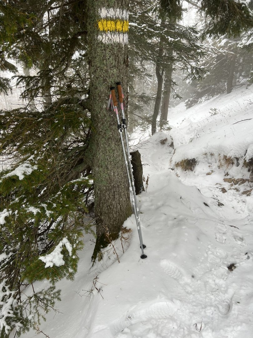 Kije Trekkingowe Regulowane 5 - częściowe ACRA Korkowa Rączka 115 - 135 cm - obrazek 2