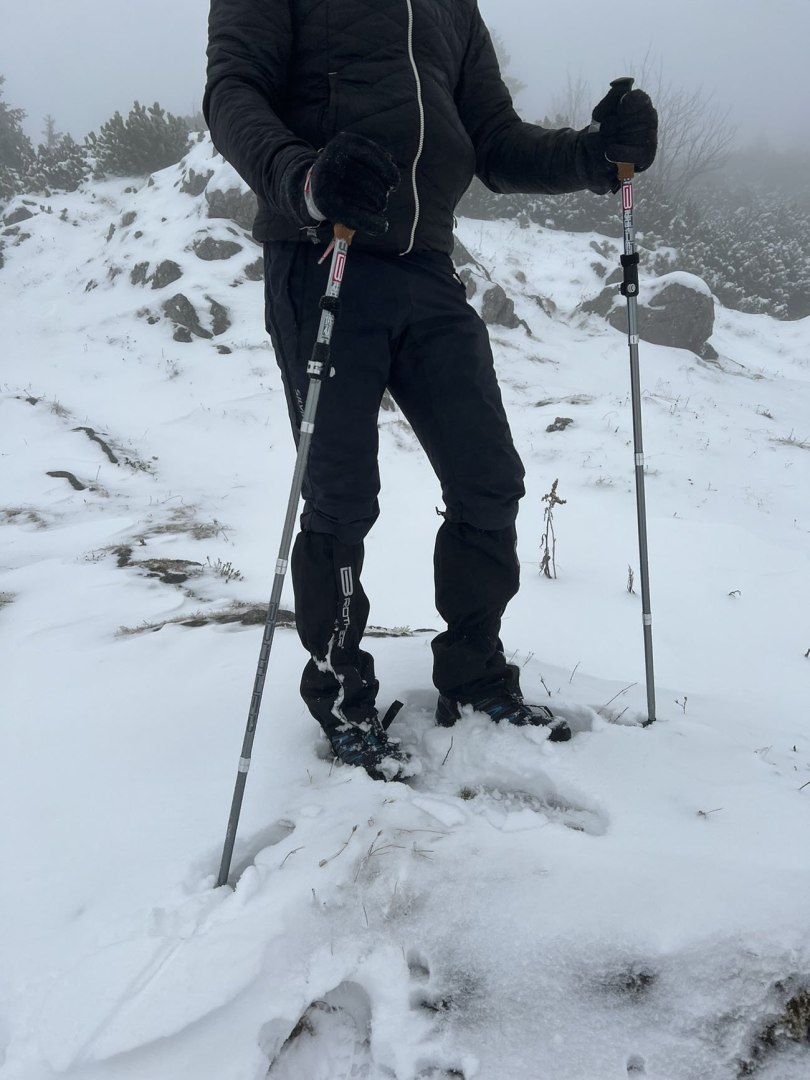 Kije Trekkingowe Regulowane 5 - częściowe ACRA Korkowa Rączka 115 - 135 cm - obrazek 3