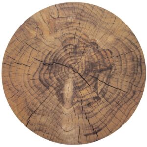 Podkładka na Stół Korkowa WOODEN 38 cm ORION Motyw Pnia Antypoślizg