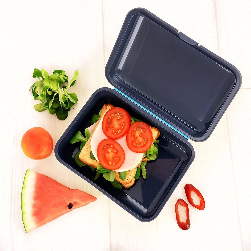 Pojemnik Lunchbox Śniadaniowy ORION 750 ml Zamykany 18 x 13 cm - obrazek 2